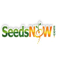 SeedsNow