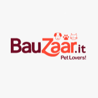 Bauzaar IT