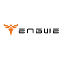 Engwe IT