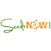 SeedsNow