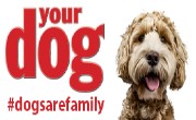 Your Dog